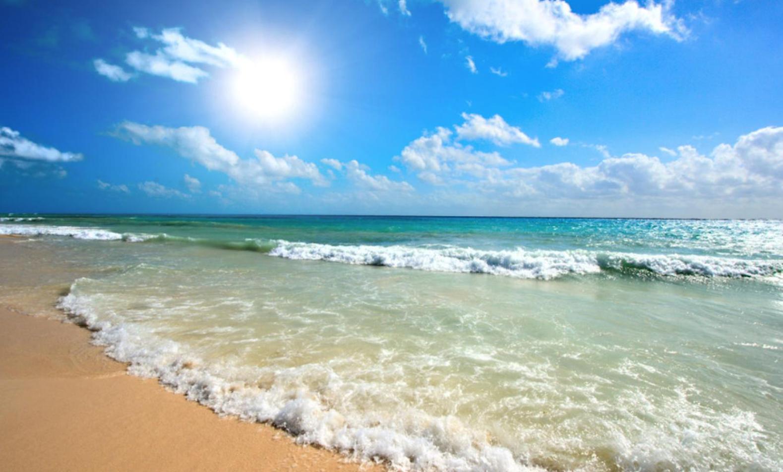 Sapphire 202 Studio Sunny Beach Dış mekan fotoğraf